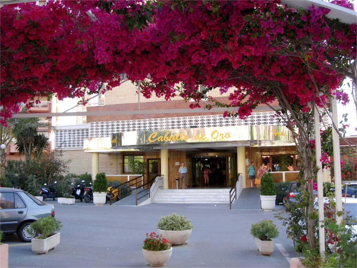 Hotel Caballo de Oro Benidorm Esterno foto